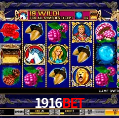 1916bet São Paulo - Live Tables