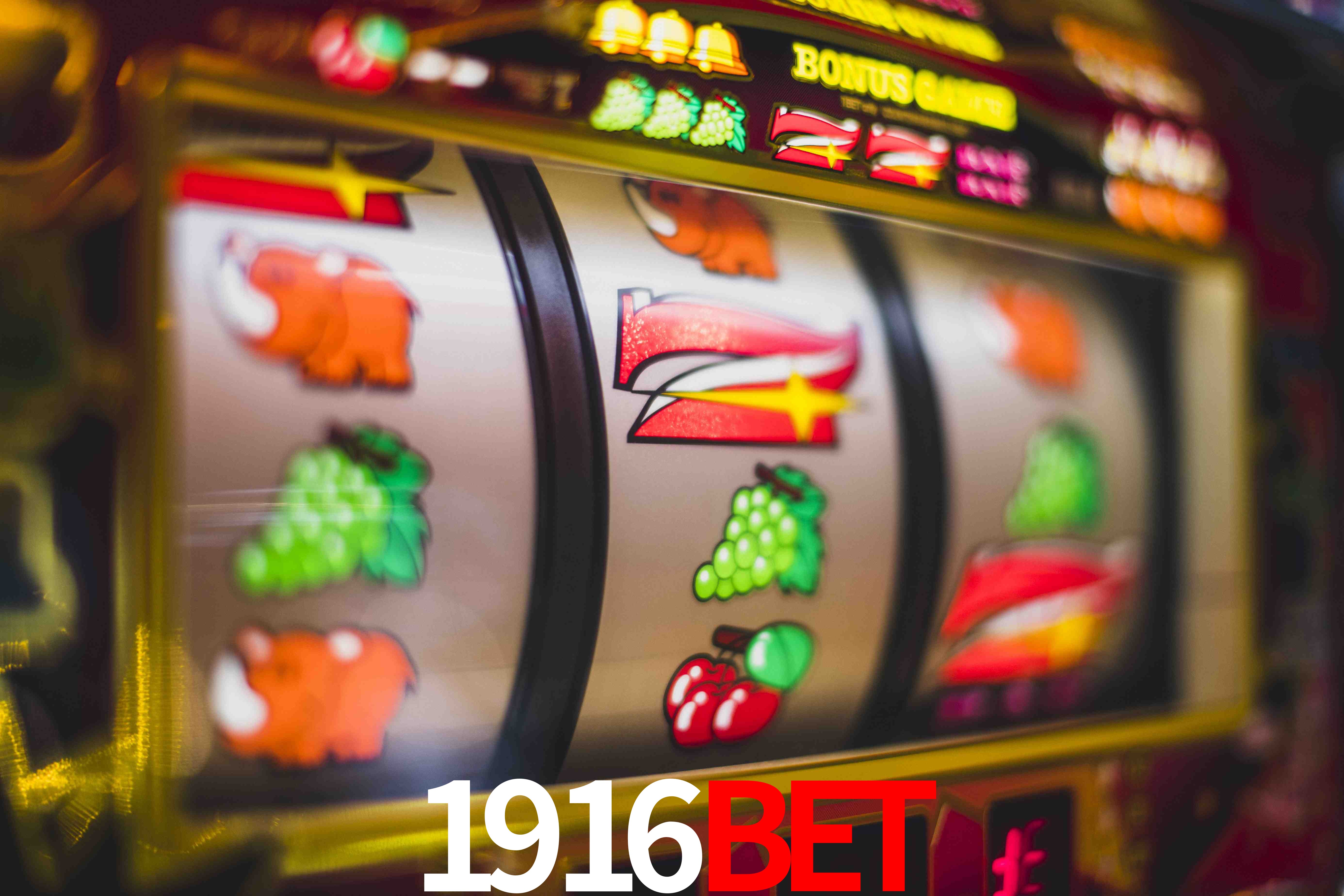 Crash Games Statistics 1916bet